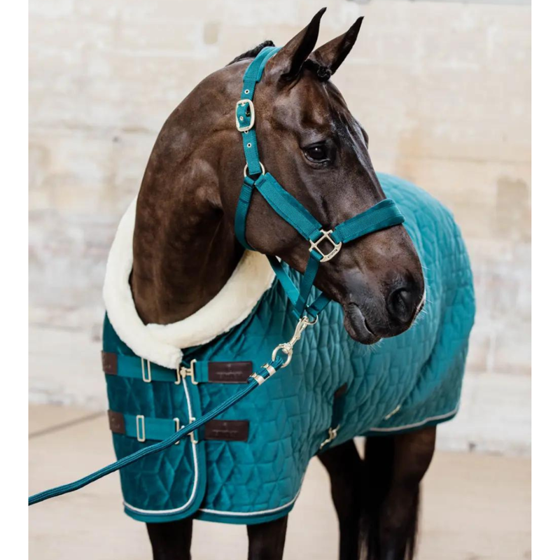 Kentucky Show Rug Velvet Emerald-1